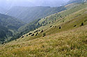 Srzy Ostredku - hlavn odkaz