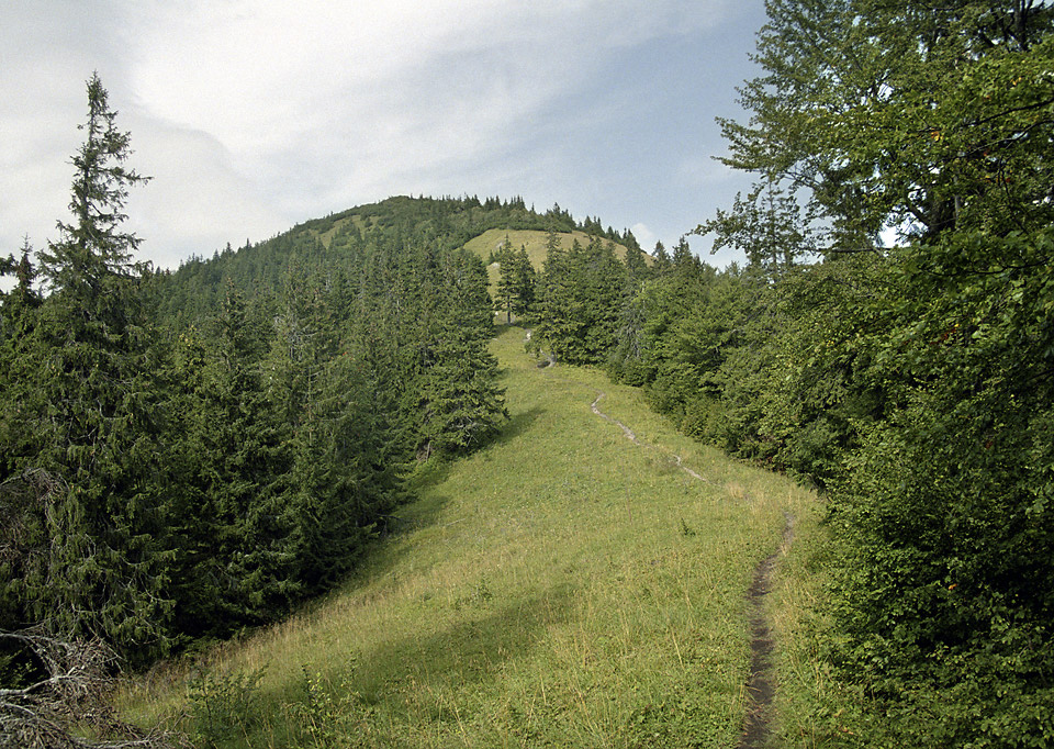 Skaln Alpa - vt formt