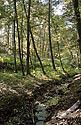 Potek - hlavn odkaz