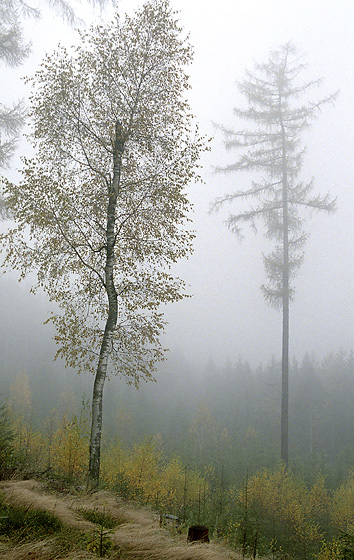 Mlha na Klku - men formt