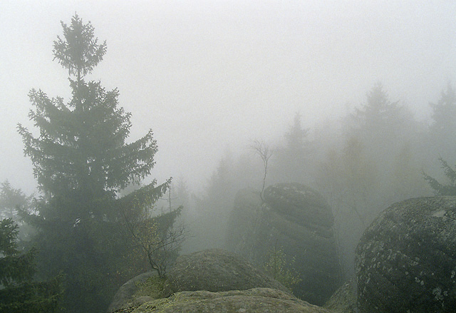 Nevhled - men formt