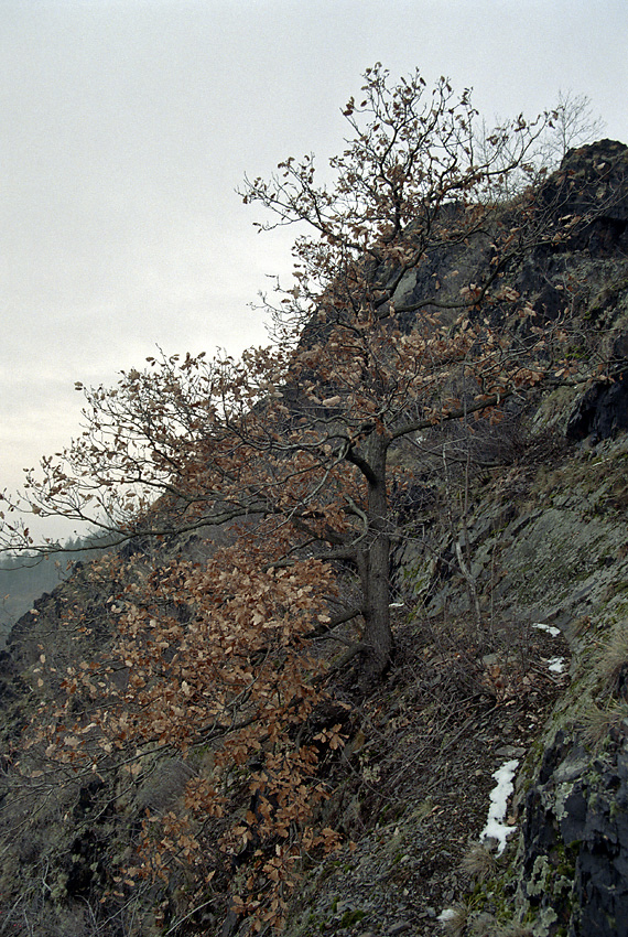 Ve srzech Zvolsk homole - vt formt