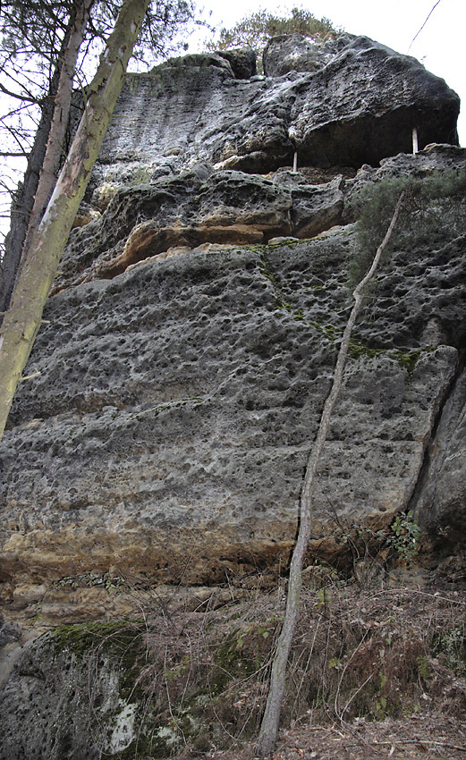"Petrified Castle" - larger format