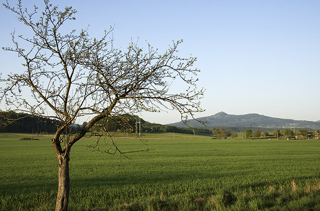 View to "Jetd" - smaller format