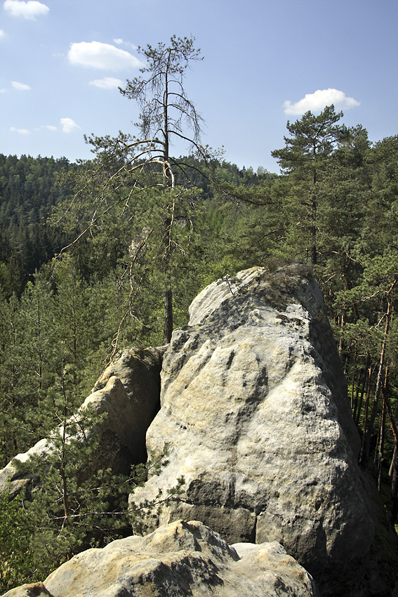 In the "Rocky theatre" - larger format