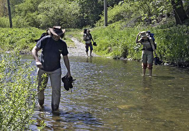 Wading - smaller format