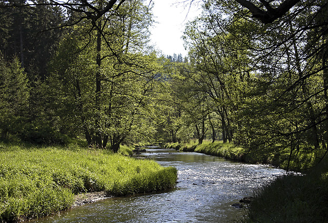 "Stela" river - smaller format