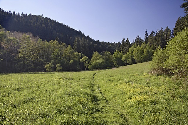 Cesta loukou - men formt