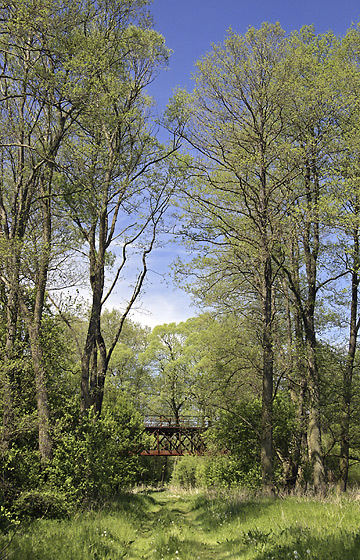 Viadukt - smaller format