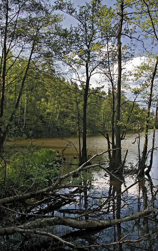 Odlezelsk jezero - vt formt