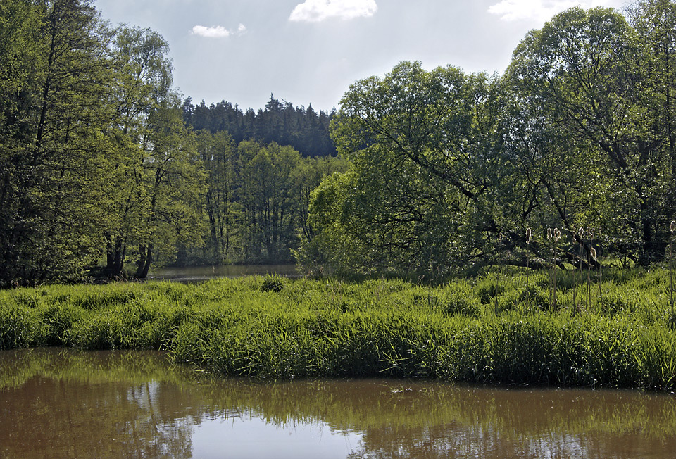 Odlezelsk jezero - vt formt