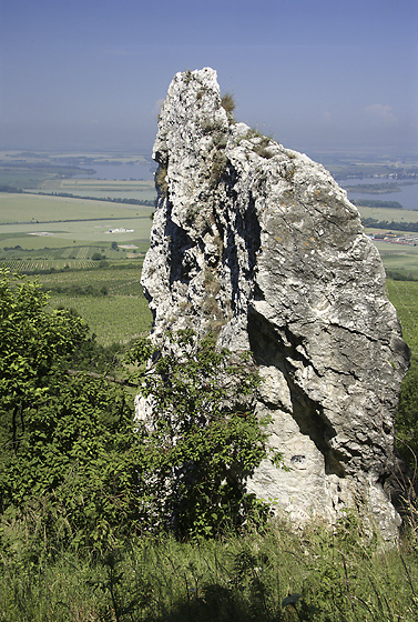 Skalka - men formt