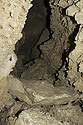 V jeskyni na Turoldu - hlavní odkaz