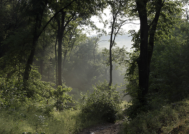After rain - smaller format
