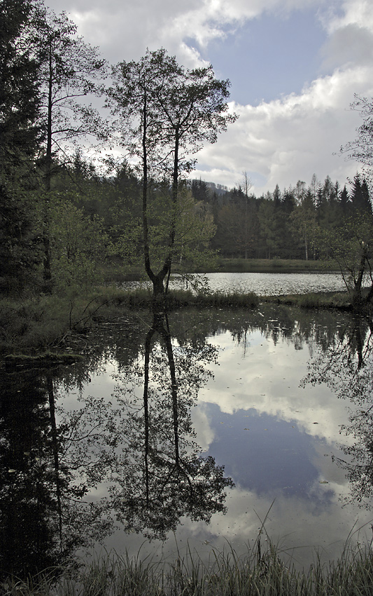 Mal Jedlovsk rybnk - vt formt