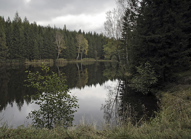 Mal Jedlovsk rybnk - men formt