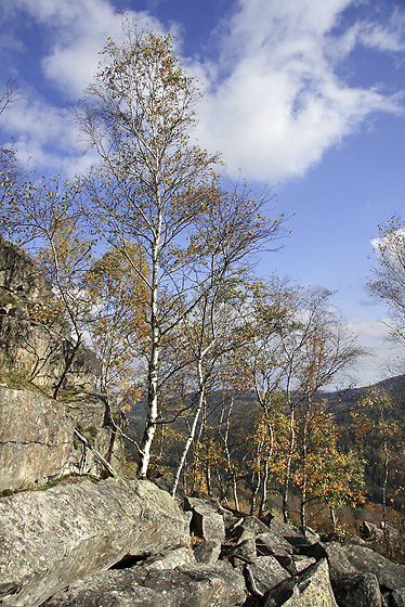 Na Malm Stoci - men formt