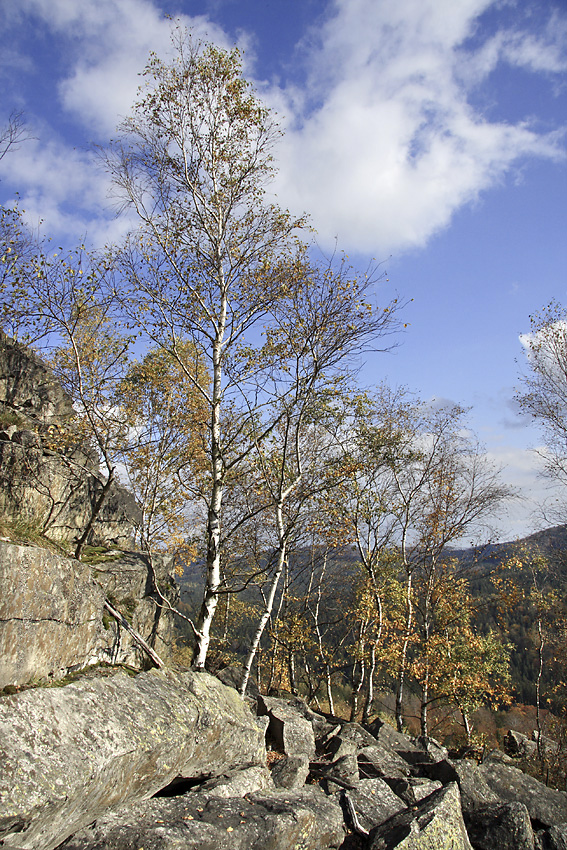 Na Malm Stoci - vt formt