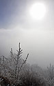 Na Mileovce - hlavn odkaz
