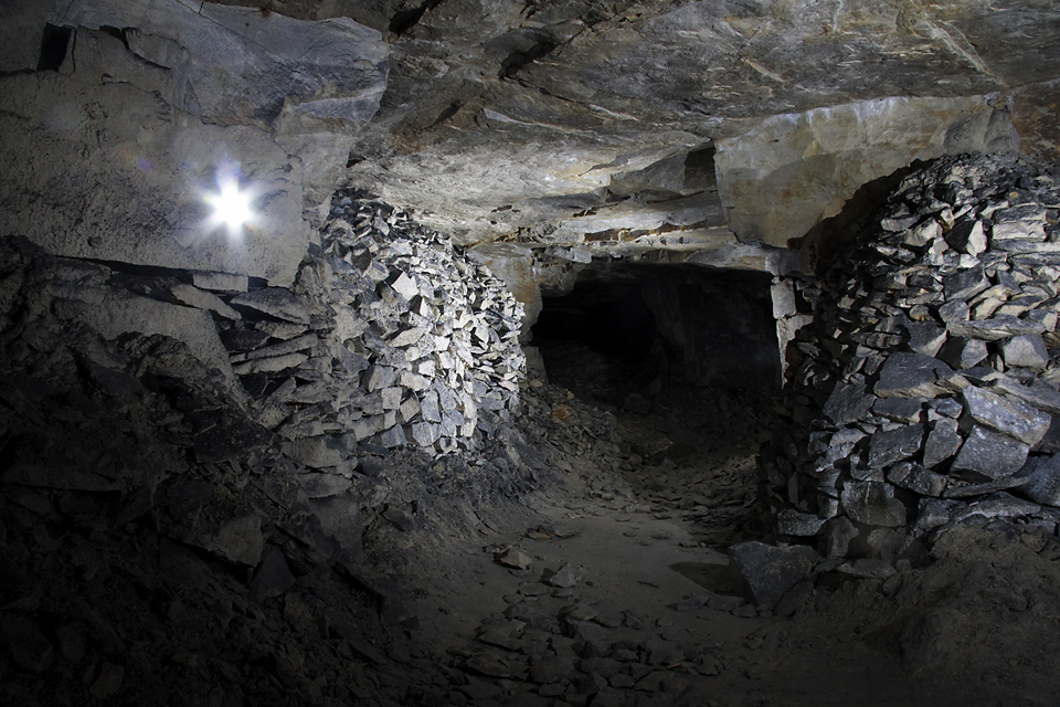 In the plaener quarry - larger format