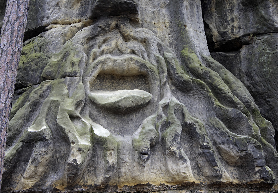 Devil`s beard - larger format