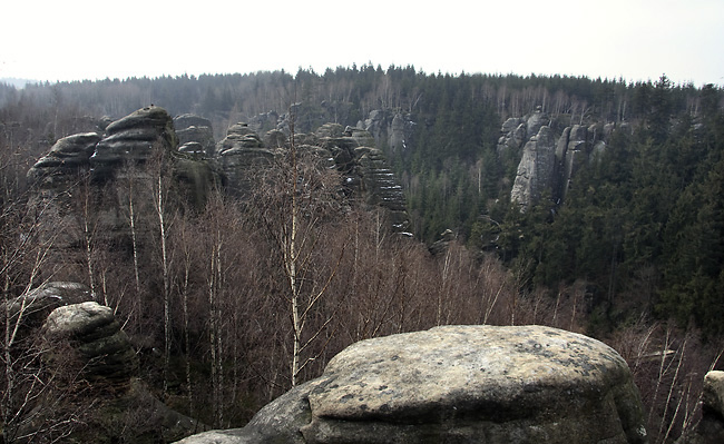 Teov rokle - men formt
