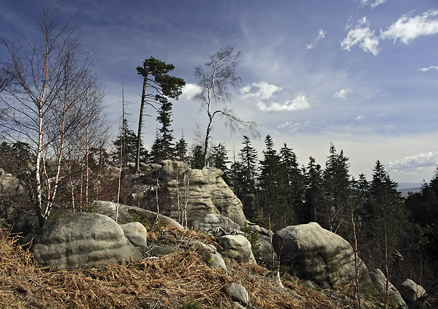 Near the "Lamb Stone" - smaller format