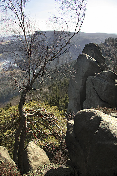On the "Squirrel" rock - smaller format