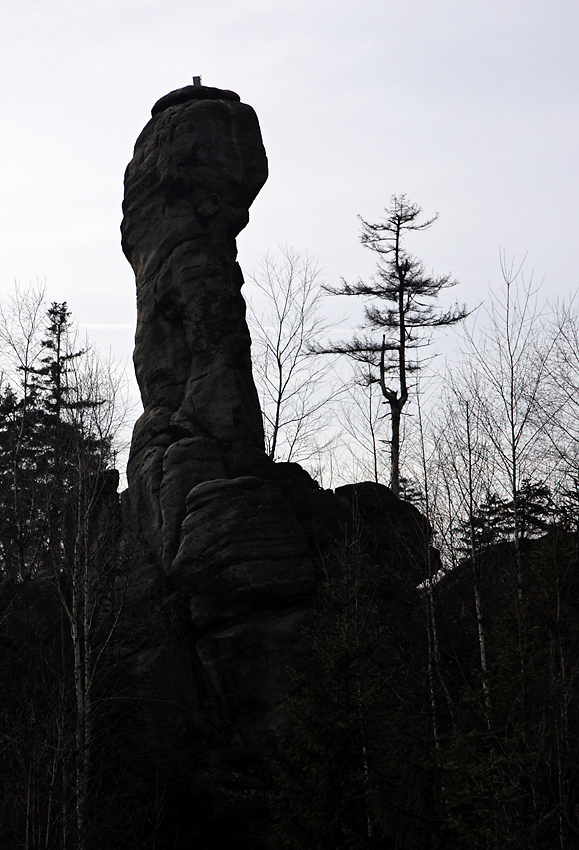 Finger - larger format