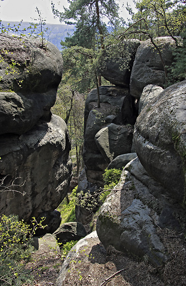 Ve skalch - men formt