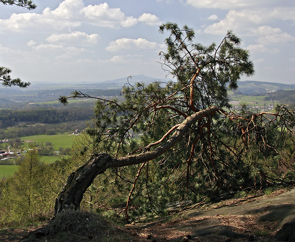 Vista from "Kozkov" - smaller format