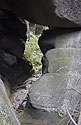 In the "Wasp gorge" - main link