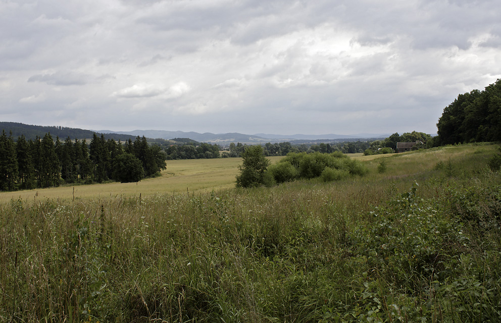 Kladsk kotlina - vt formt