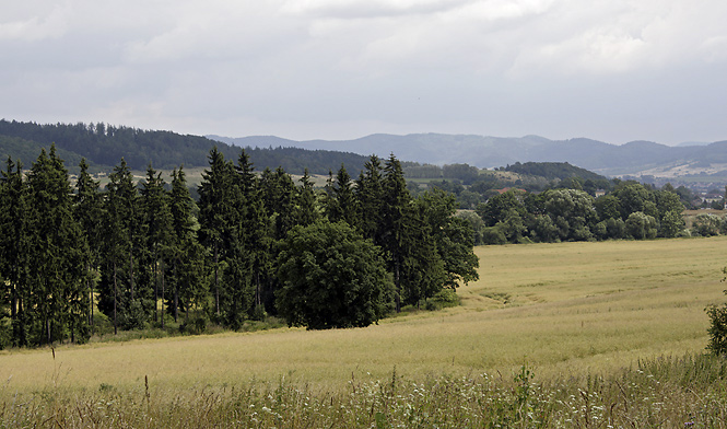 Kladsk kotlina - men formt