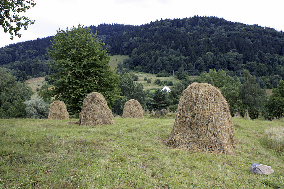 Nad Droszkowem - vt formt