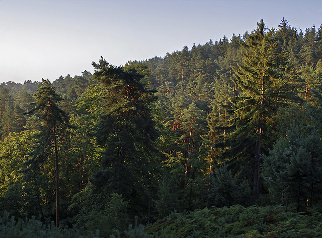 Morning on Rover Mts. - smaller format