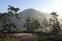 Foggy "Vlho" - main link