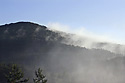 Foggy "Vlho" - main link