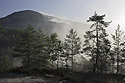 Foggy "Vlho" - main link