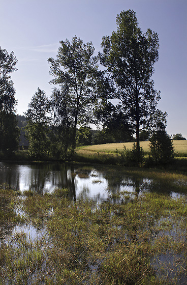 Lower pond - smaller format