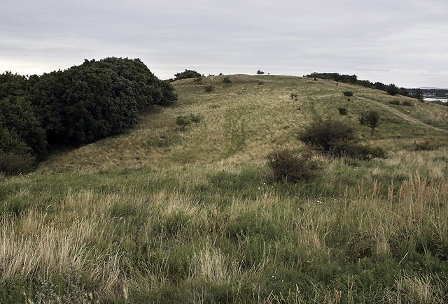 Hillock - smaller format