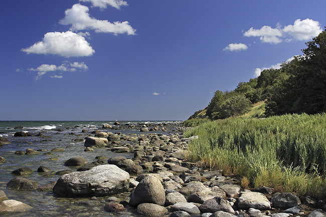 On the shore - smaller format