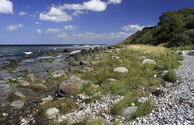 On the shore - smaller format