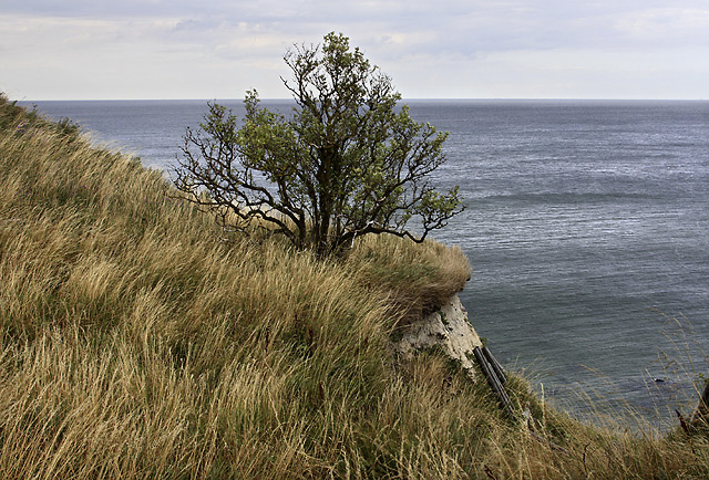 On the "Cap Arkona" - smaller format