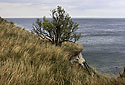 On the "Cap Arkona" - main link