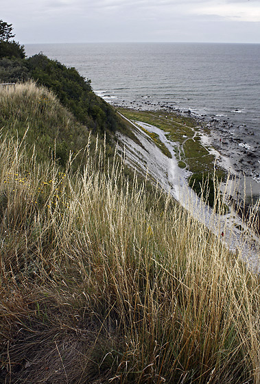 Near "Arkona" - smaller format