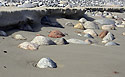 Kameny za odlivu - hlavn odkaz