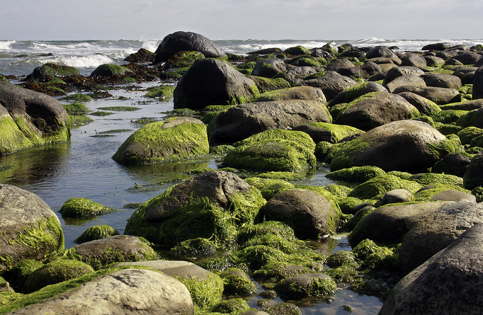 Stones - larger format