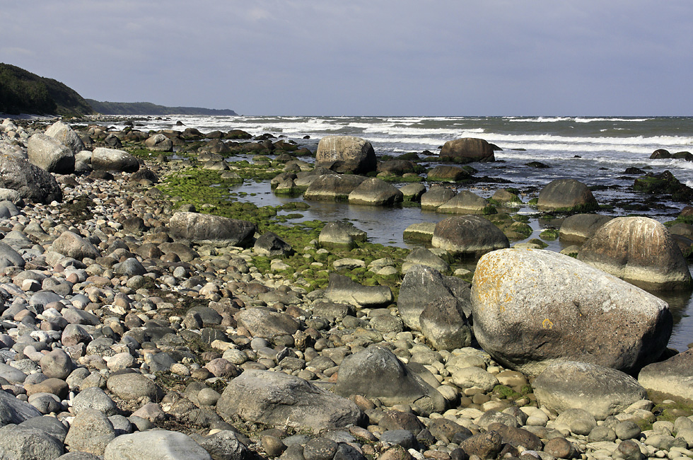 On the shore - larger format