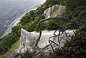 Chalk cliffs - main link